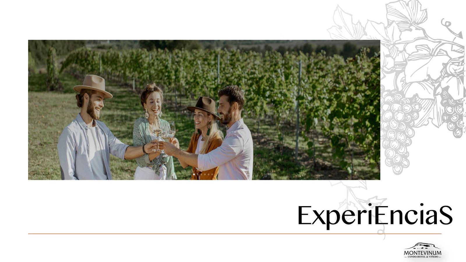 Montevinum - Imagen 24